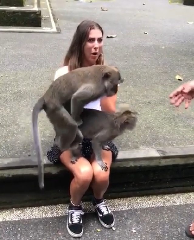 Source : Instagram / camillavalotti Source : Instagram / camillavalotti