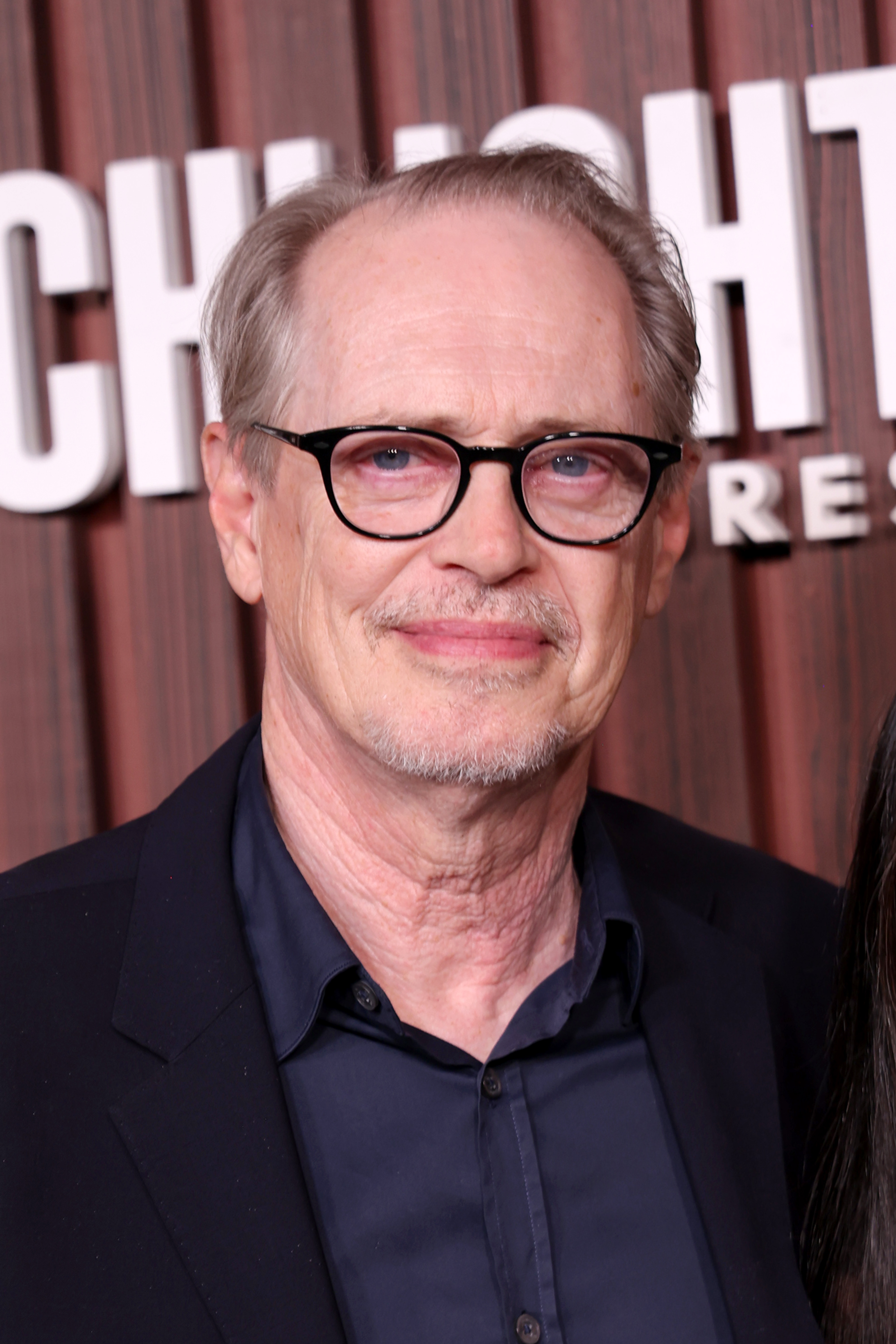 Steve Buscemi at Museum of Modern Art on June 20, 2024 in New York City | Source: Getty Images