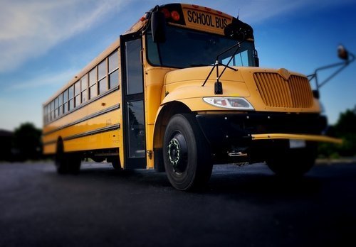 Yellow School Bus. | Photo: Shutterstock