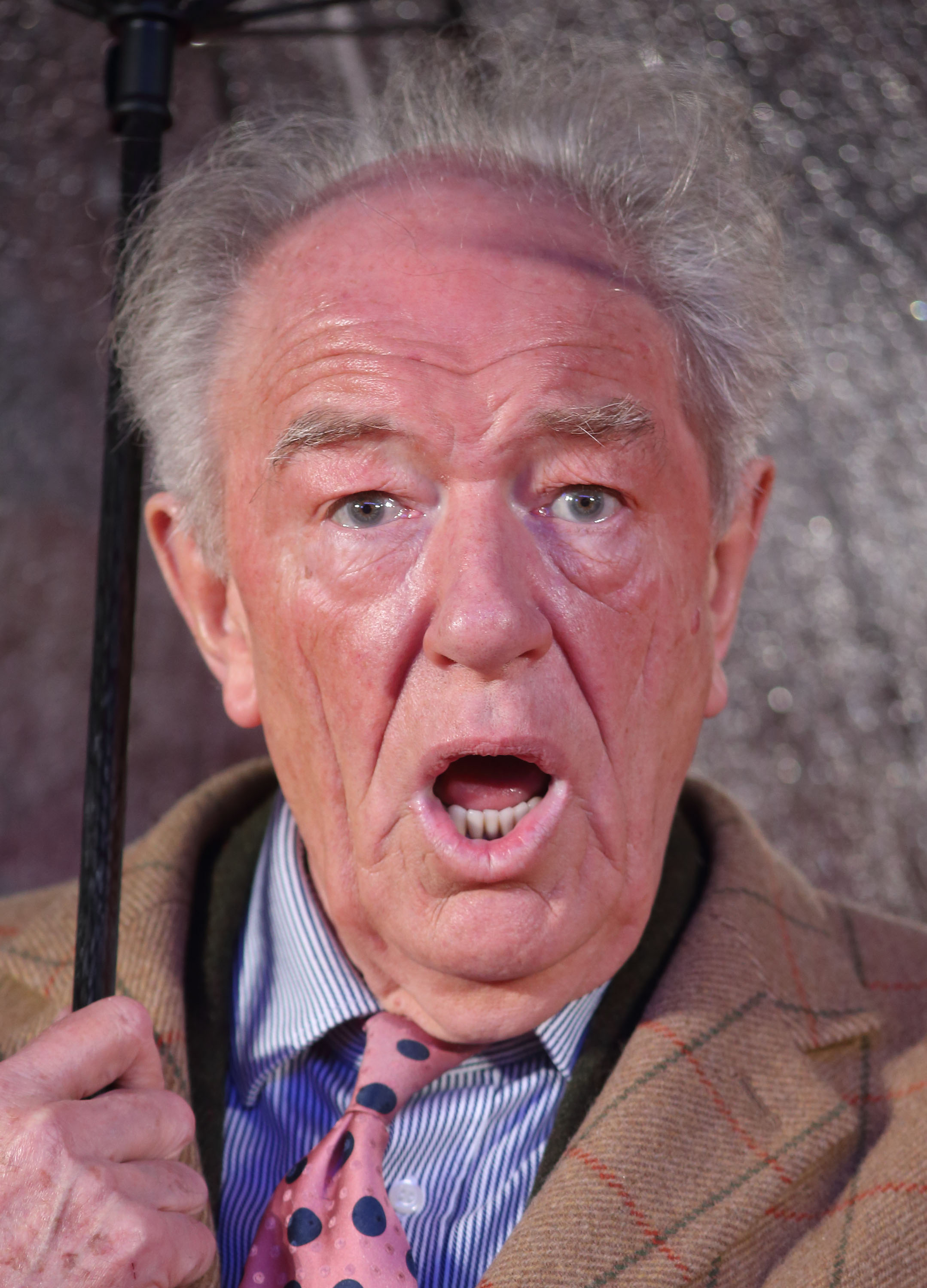 Michael Gambon at the "Dad's Army" World Premiere in London, United Kingdom, on January 26, 2016 | Source: Getty Images