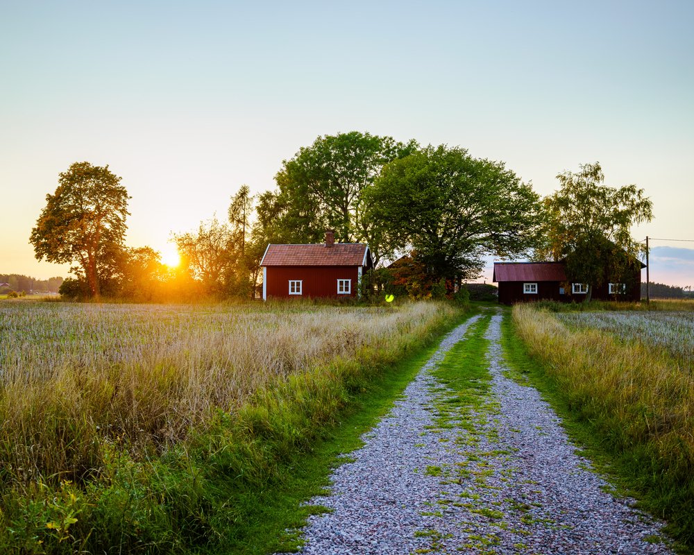 A road leading to a farmhouse | Photo: Shutterstock/Anton backsholm