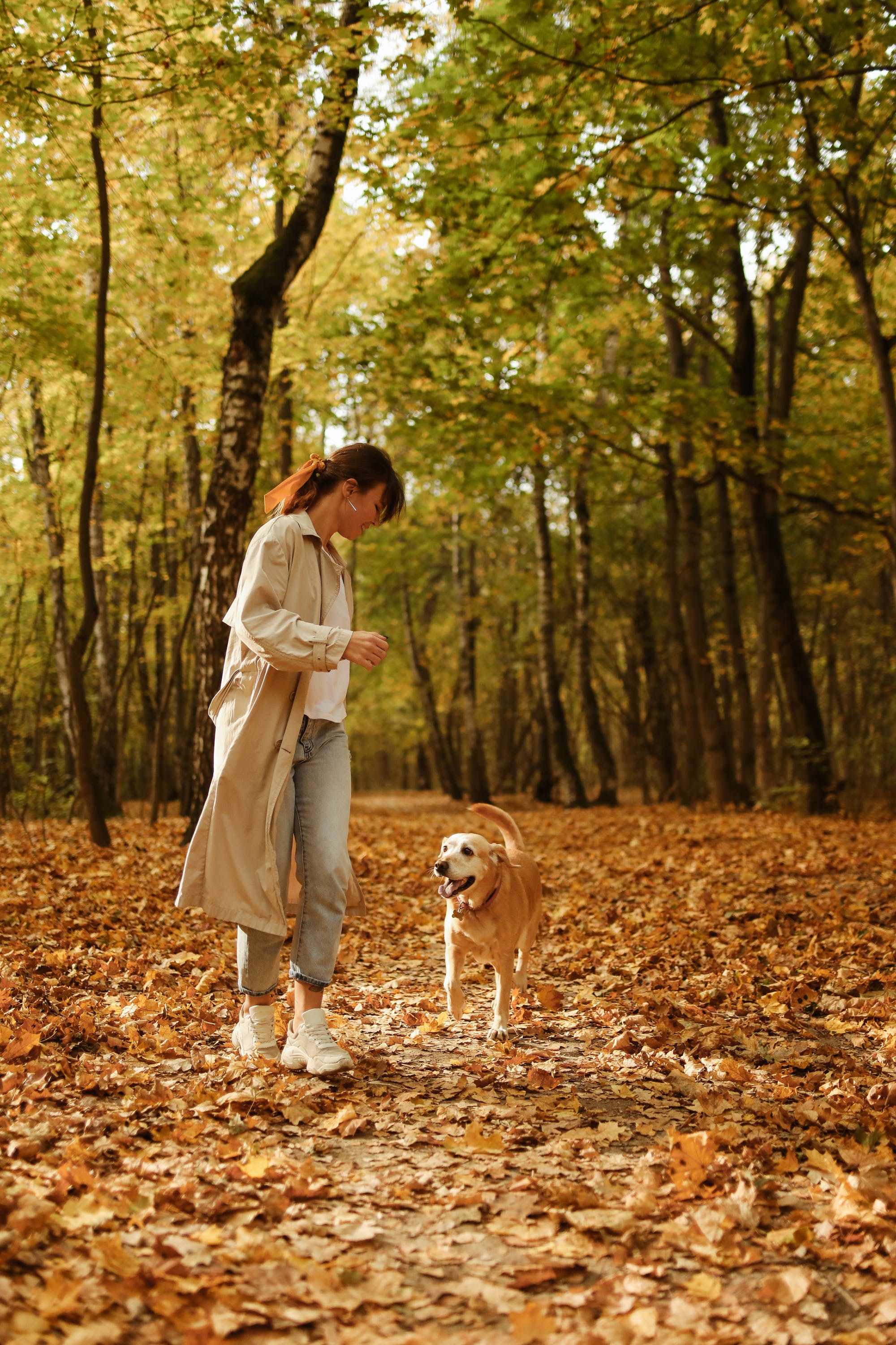 A woman walking her dog in the woods | Source: Pexels