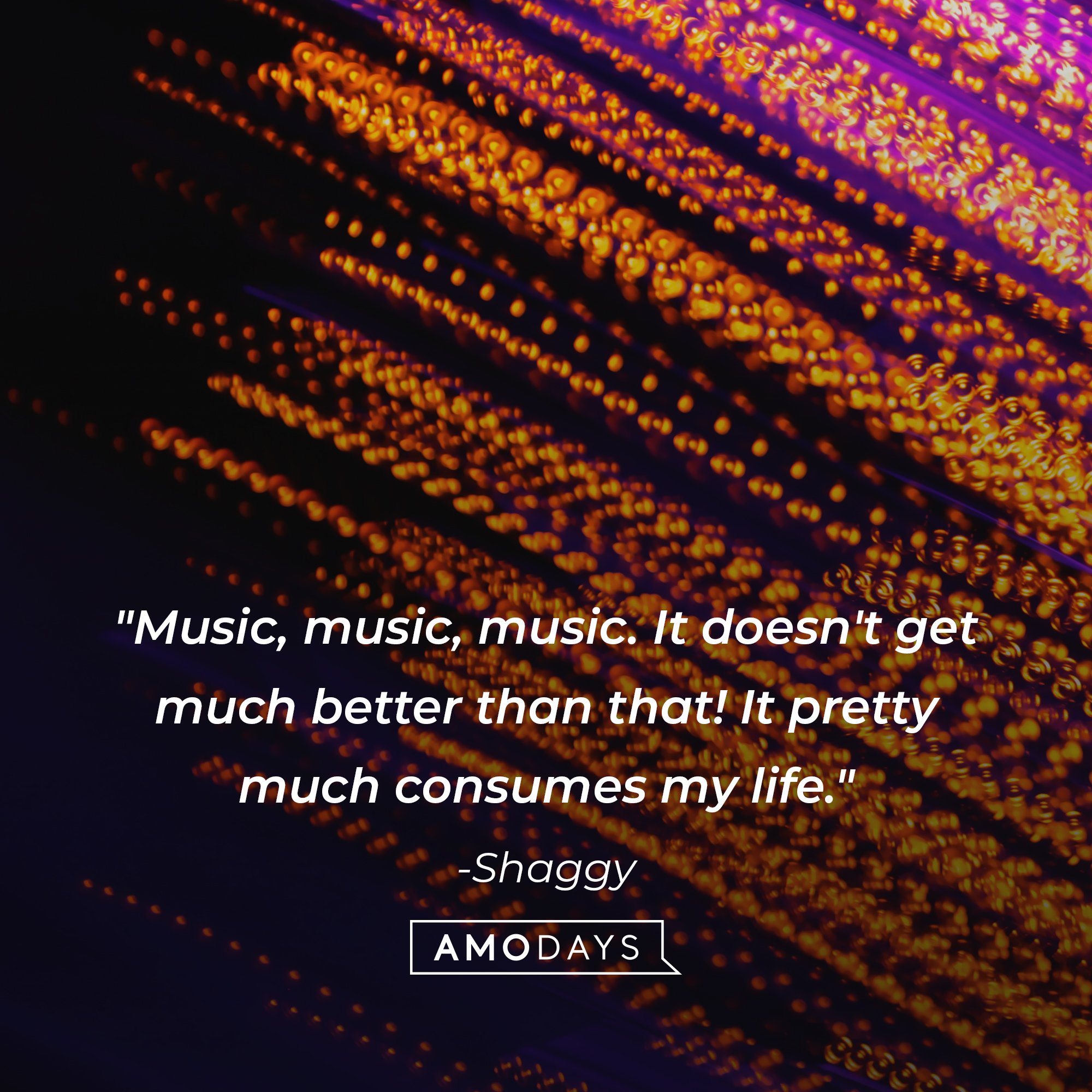 Shaggy's quote: "Music, music, music. It doesn't get much better than that! It pretty much consumes my life." | Image: AmoDays