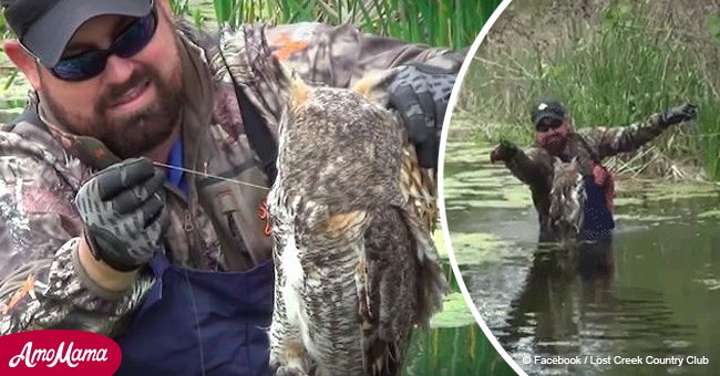 Frightened owl was caught in fishing line, but bird's reaction after rescue is pure gold (video)