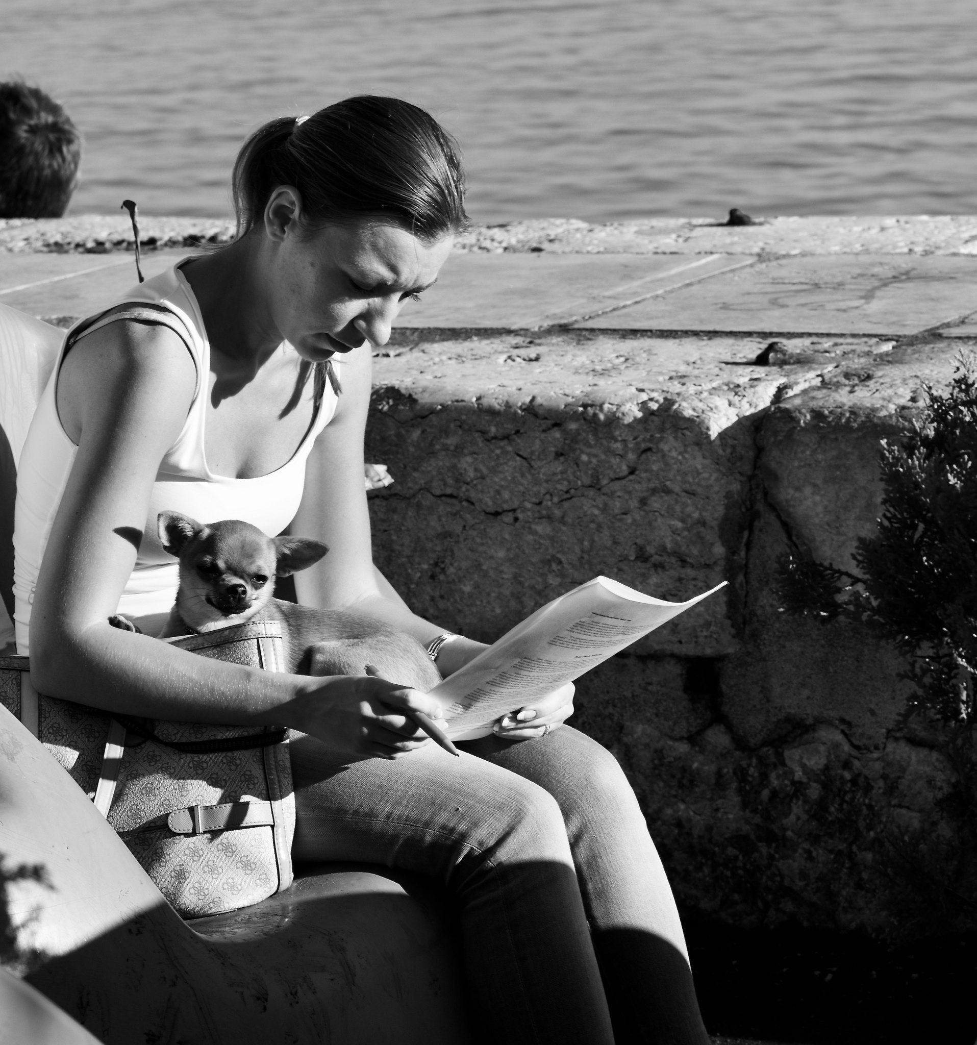 A woman reading a letter with her dog near her | Source: flickr