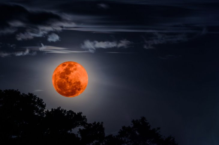 Source: Shutterstock Source: Shutterstock