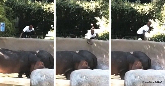 Video of trespasser spanking a hippo at the L.A. Zoo leads to police investigation