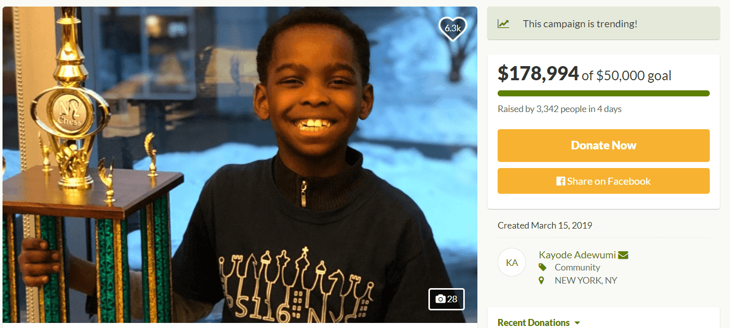 The total amount collected for the Adewumi family as of March 20, 2019 | Source: GoFundMe for Tani Adewumi