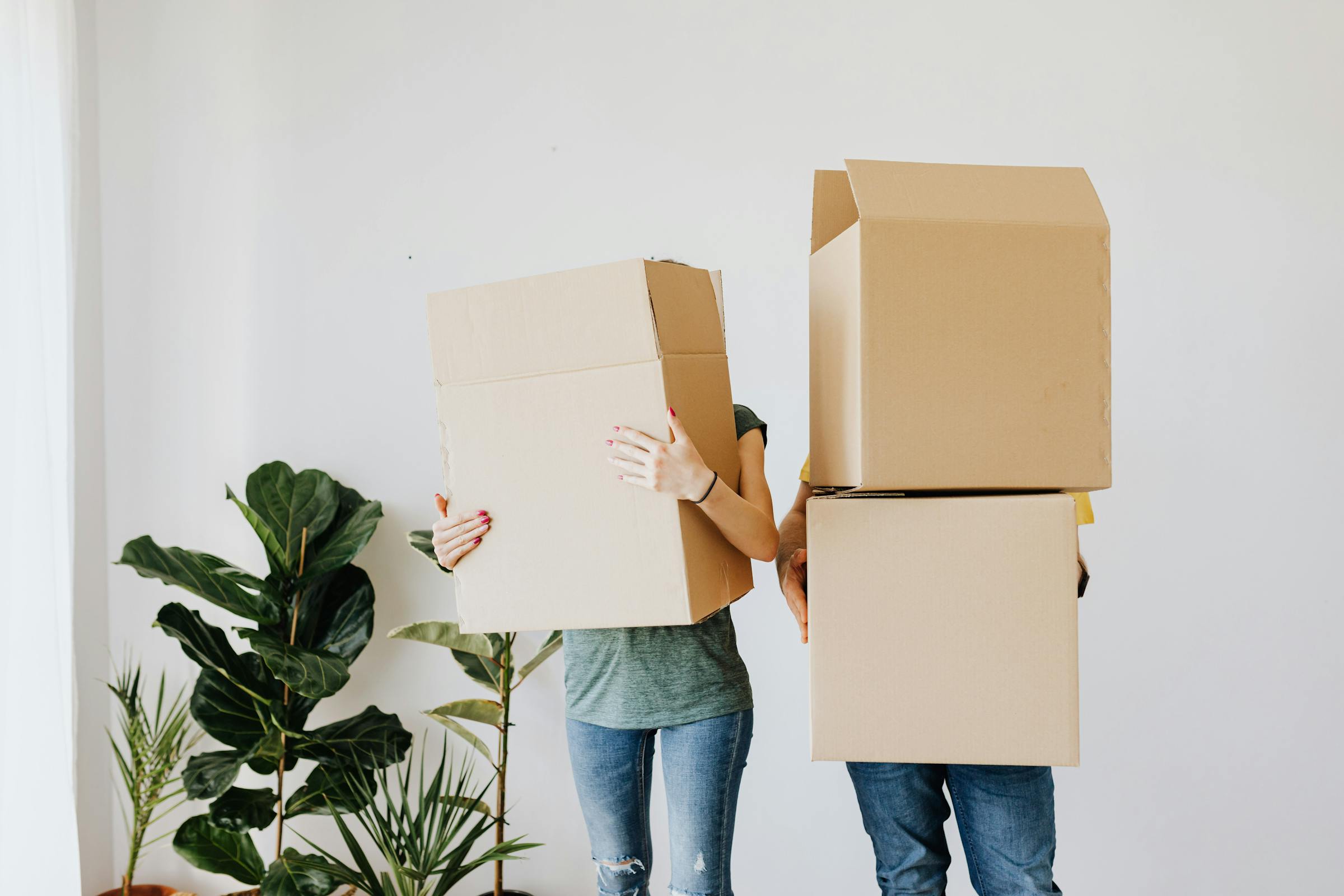 Duas pessoas carregando caixas | Fonte: Pexels