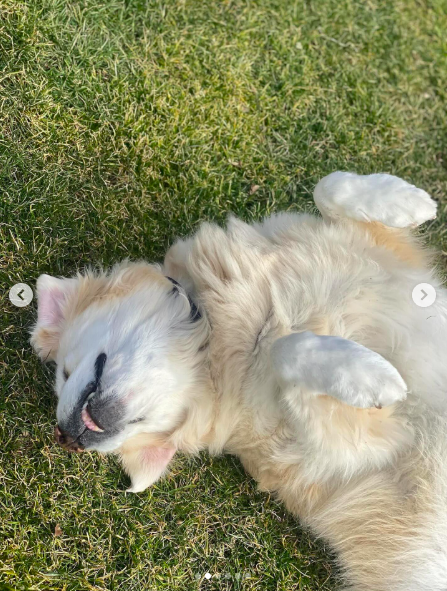 Gary laying on her back. | Source: Instagram/jimmyfallon