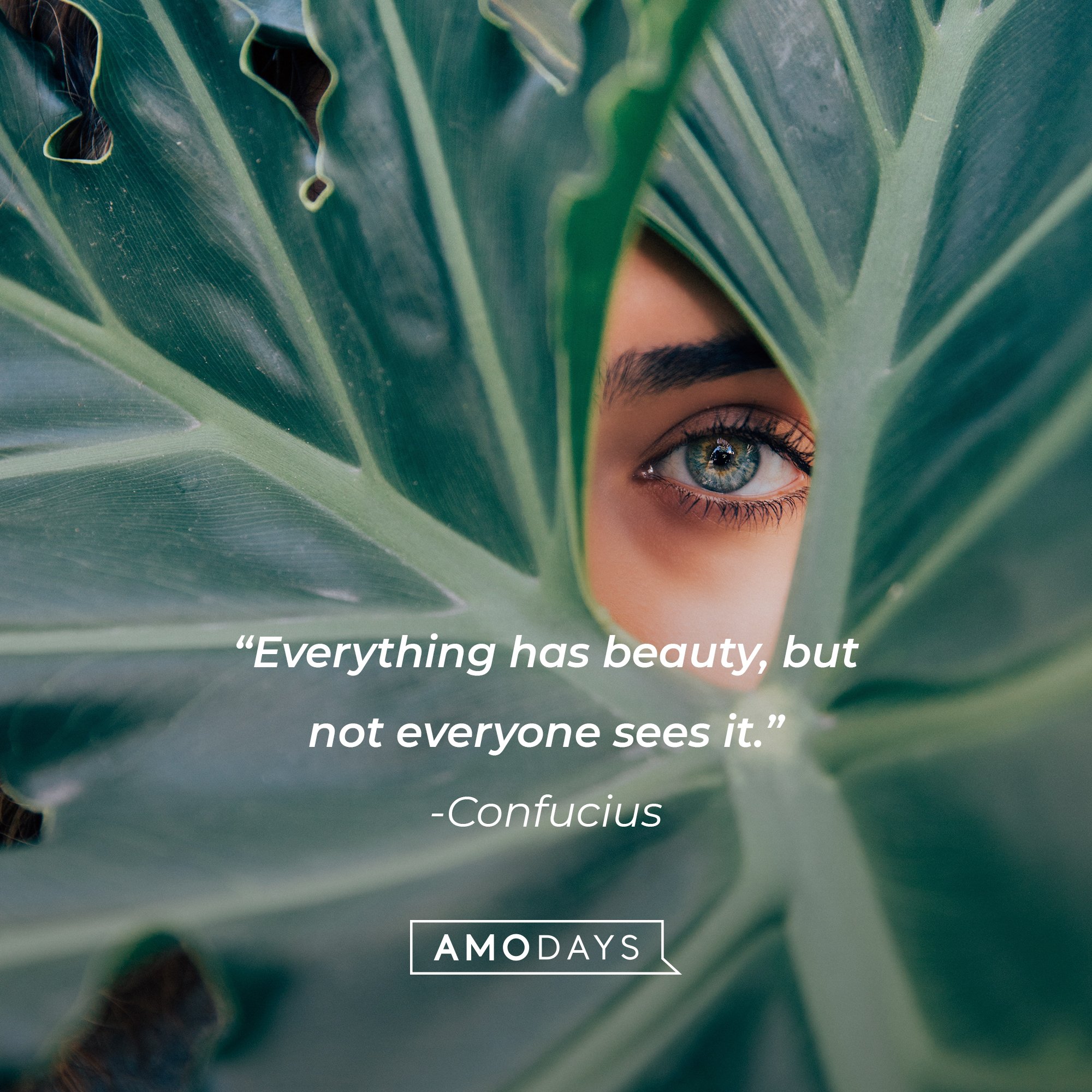 Confucius's quote: "Everything has beauty, but not everyone sees it." | Image: AmoDays