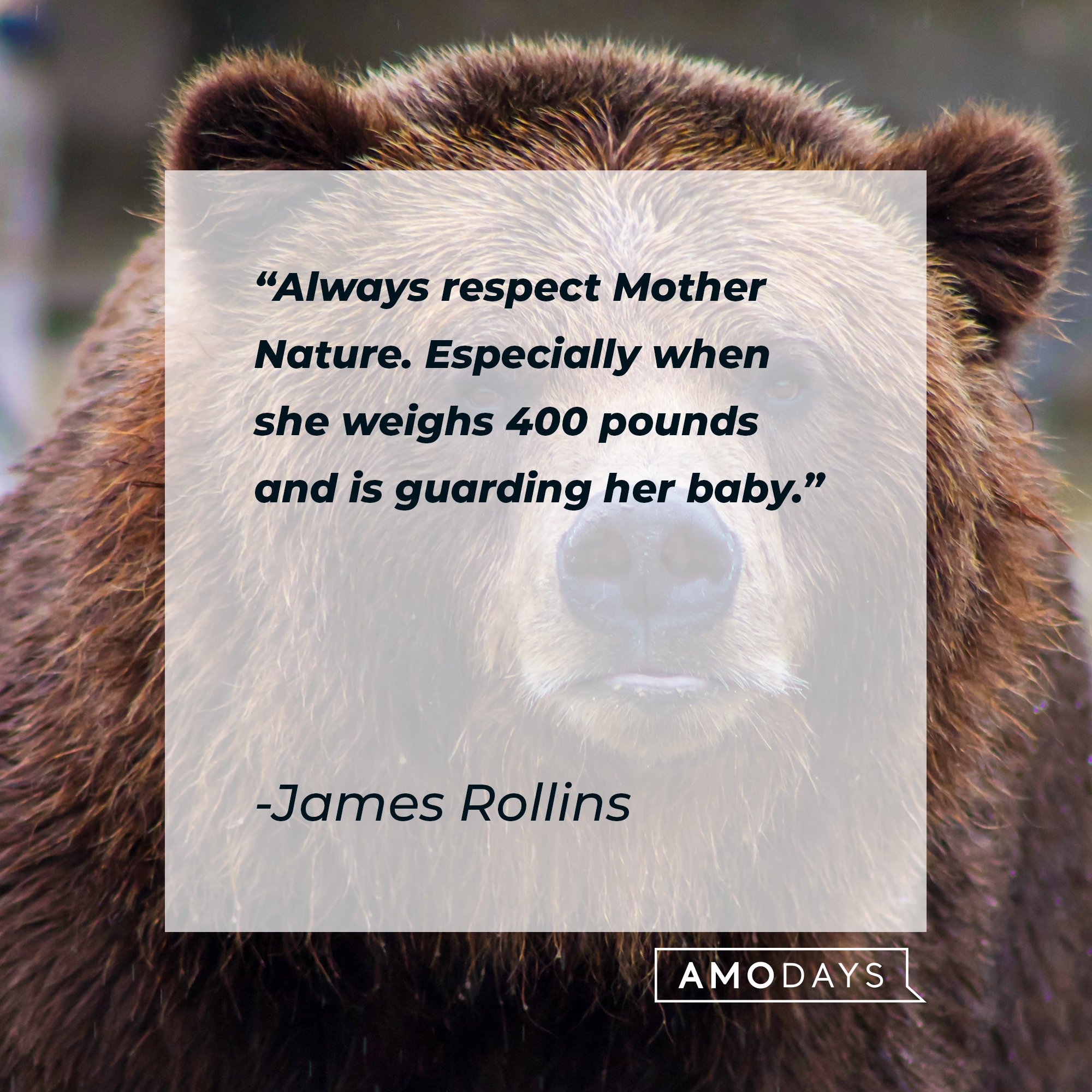 James Rollins’ quote: "Always respect Mother Nature. Especially when she weighs 400 pounds and is guarding her baby." | Image: AmoDays