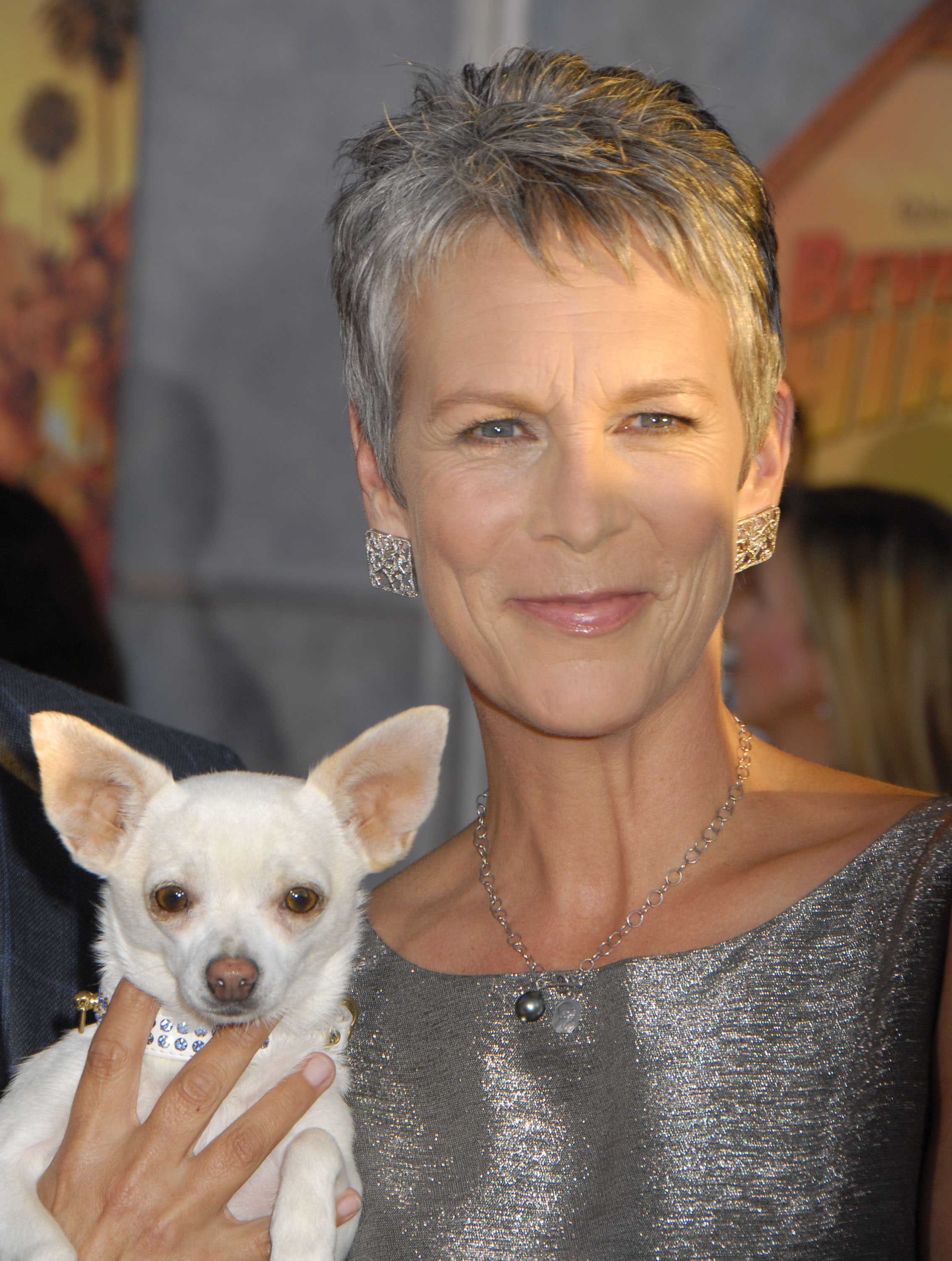 Jamie Lee Curtis beams alongside her canine co-star Angel at the premiere of “Beverly Hills Chihuahua,” wearing a shimmering silver dress, bold square earrings, and a radiant smile at El Capitan Theatre in Hollywood.