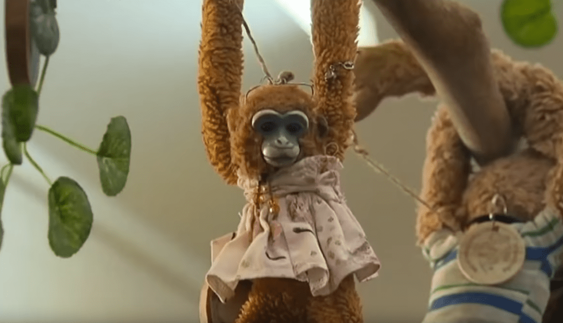 Harriet, le singe en peluche de Savannah Hart. | Image: YouTube / Inside Edition Harriet, le singe en peluche de Savannah Hart. | Image: YouTube / Inside Edition