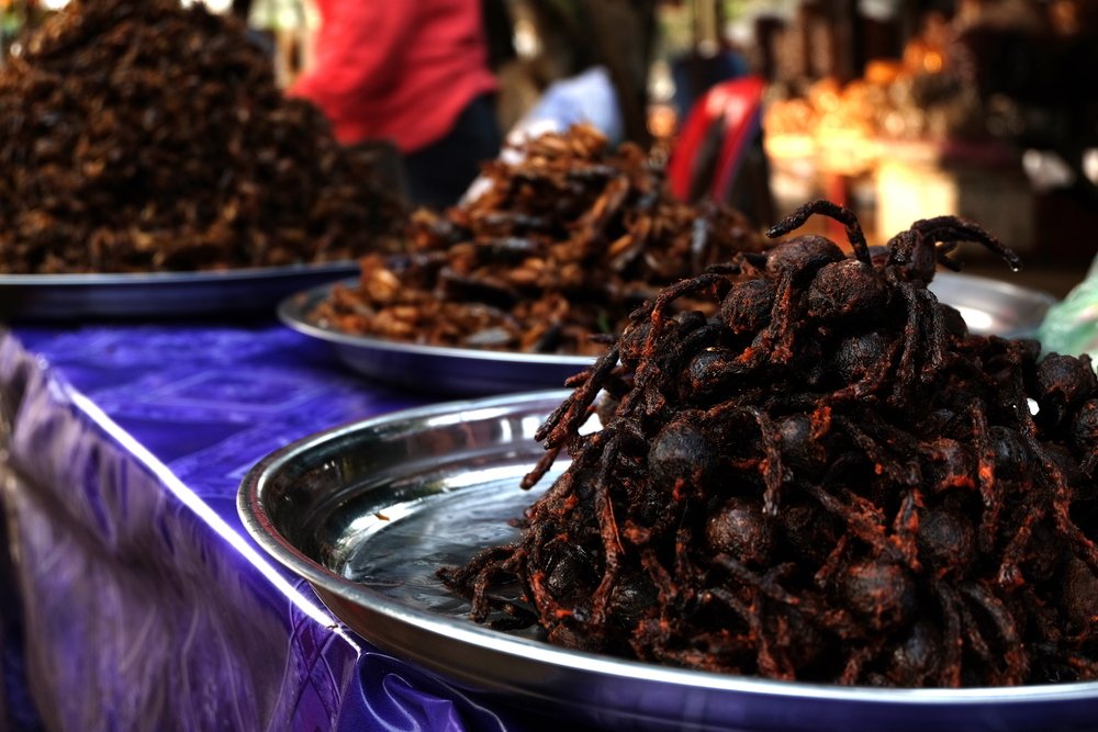Fried spiders on a roadway market, in the city known as "Spiderville" | Photo: Shutterstock
