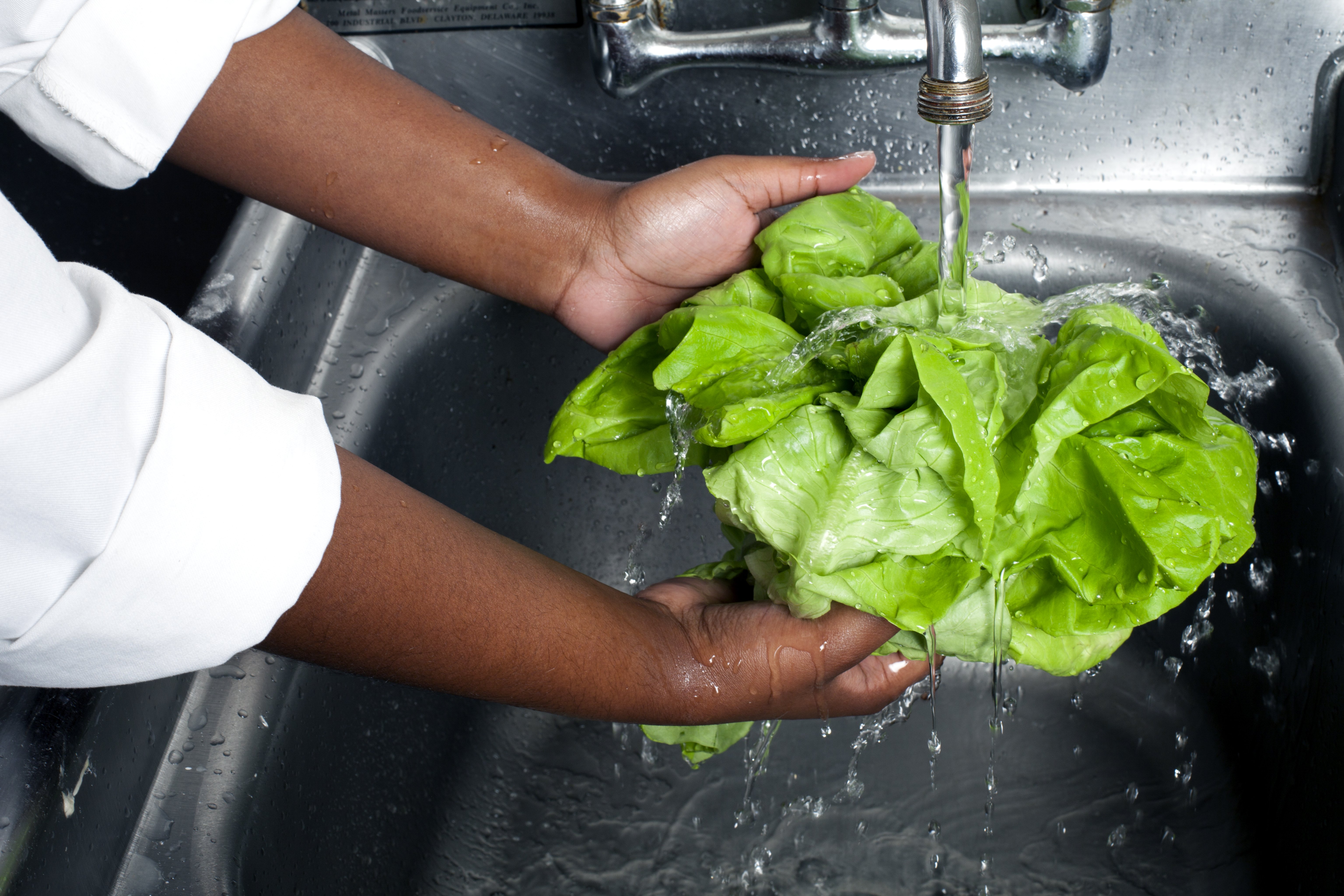 Chef washing Boston lettuce, produce|Photo: Getty Images