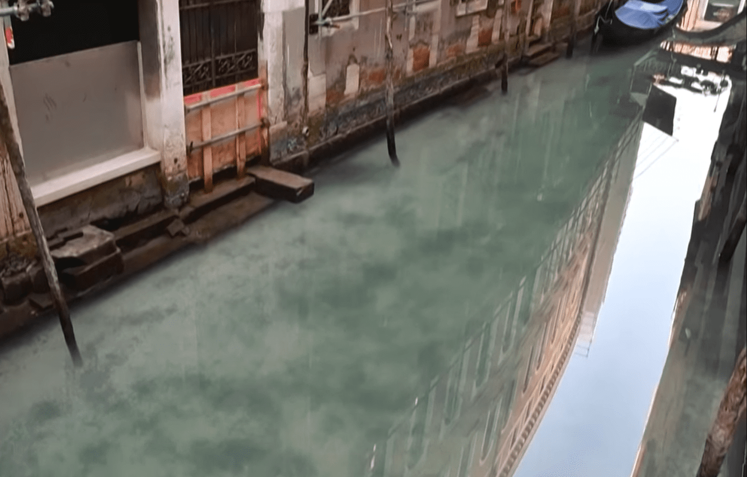 Aguas transparentes en los canales de Venecia, marzo 2020 | Foto: Youtube/RT en español