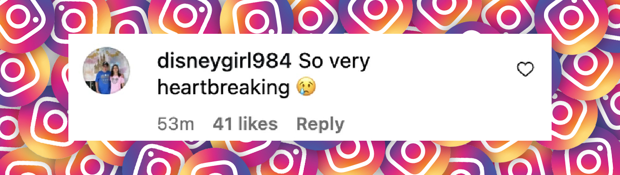 A netizen's reaction to the statement from Diane Keaton's family regarding the actress's death, as posted on October 15, 2025 | Source: Instagram/people