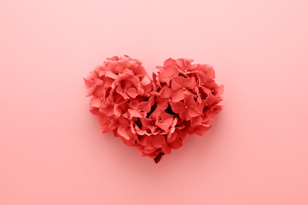 Corazón de flores.| Fuente: Shutterstock Corazón de flores.| Fuente: Shutterstock