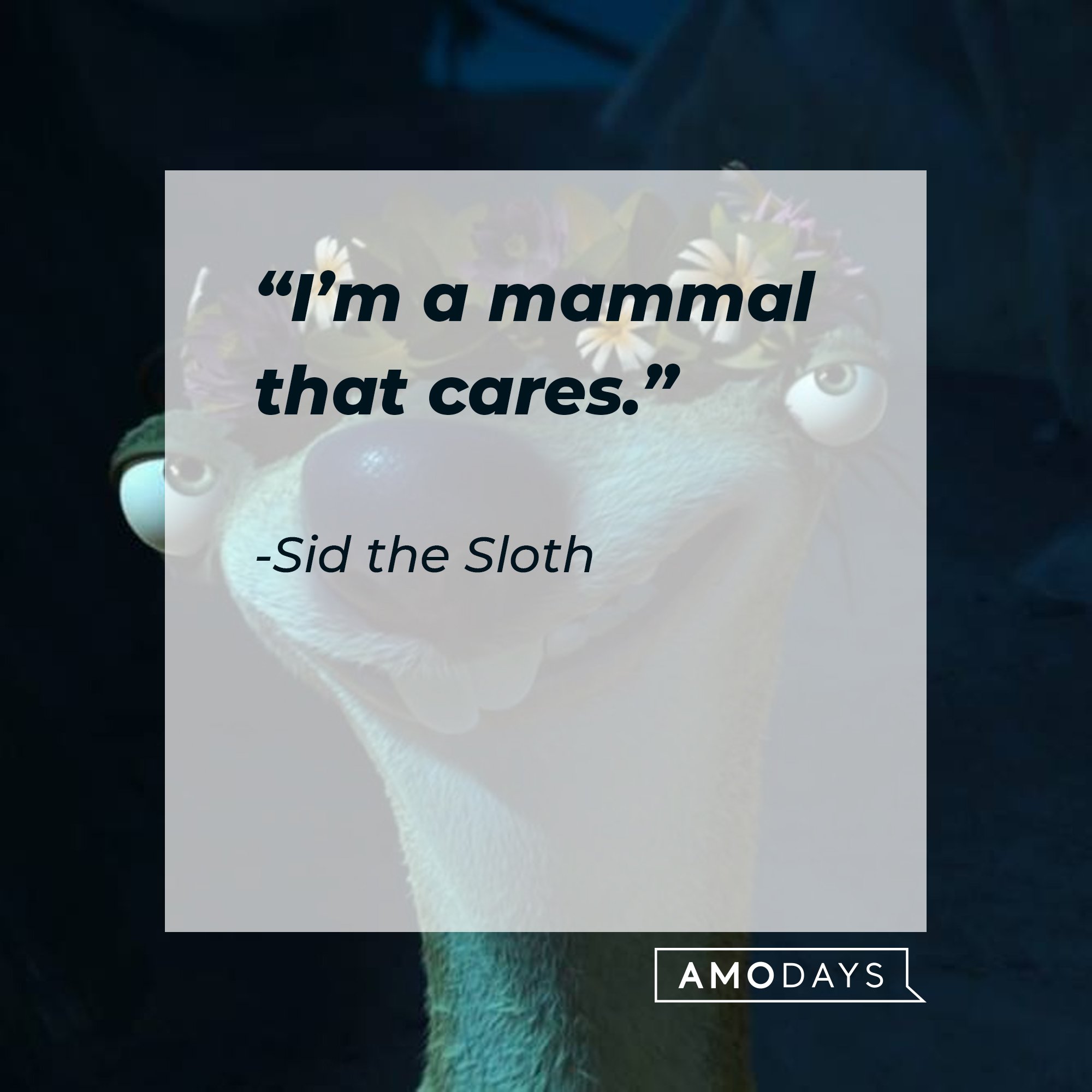 Sid the Sloth's quote:  “I’m a mammal that cares.” | Image: AmoDays