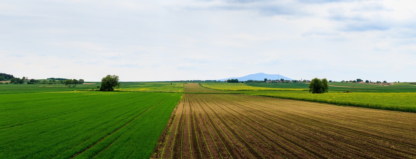 A photo of a large farmland. | Photo: Unsplash