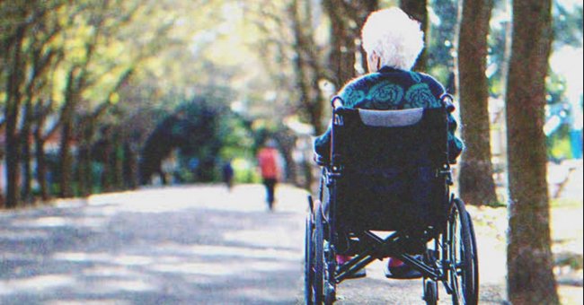 Anciana en silla de ruedas paseando en un parque. | Foto: Shutterstock