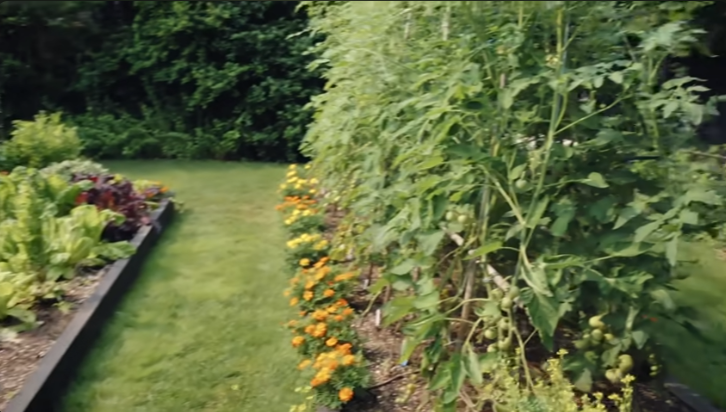 A section of Gwyneth Paltrow's Hamptons garden in a video posted in October 2023 | Source: youtube.com/@Vogue