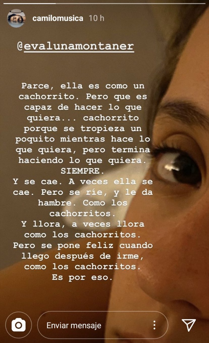 Captura de pantalla de la historia de Instagram de Camilo Echevarry. | Foto: Instagram / Camilomusica