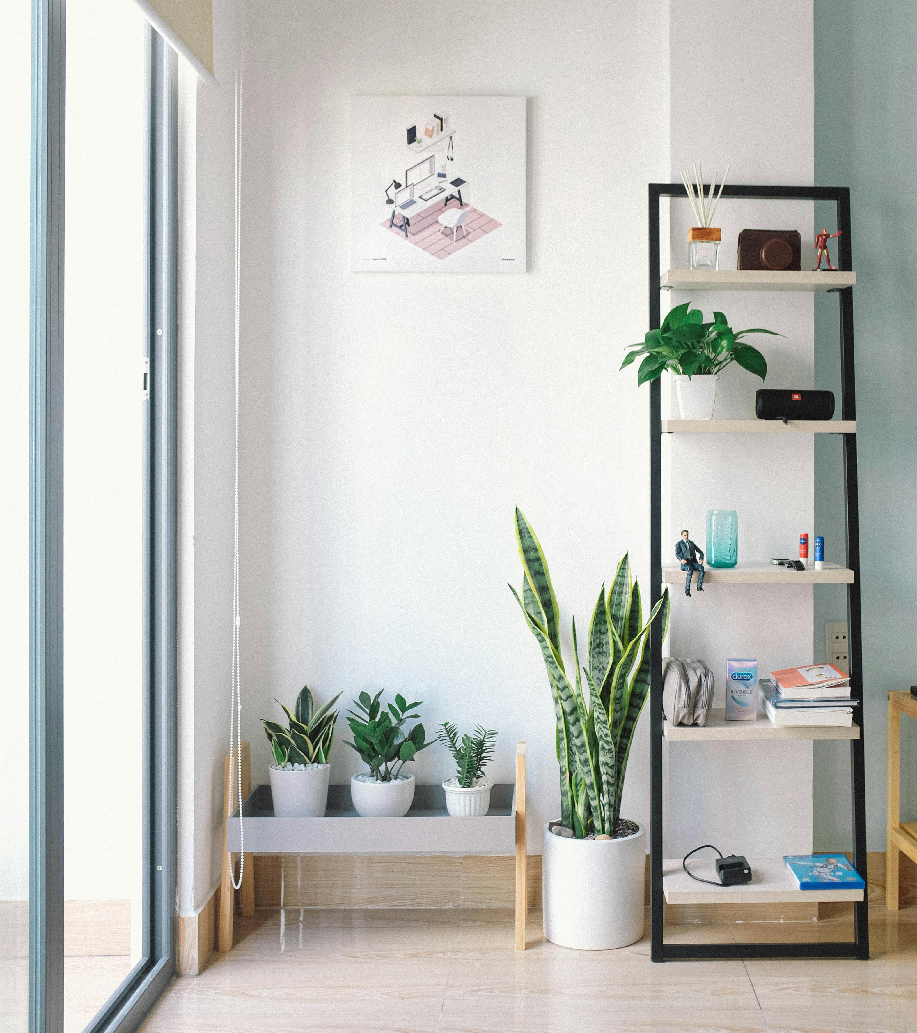 An apartment filled with plants | Source: Pexels