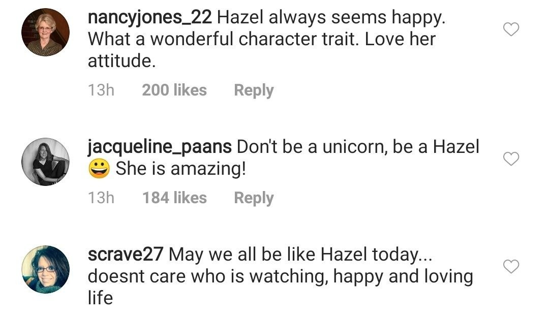 Fans' comments on the Busby quint's recent Instagram photo. | Photo: Instagram/itsabuzzworld