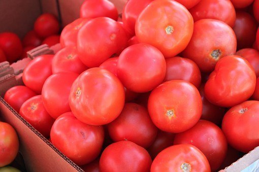 Tomatoes/ Source: Pexels