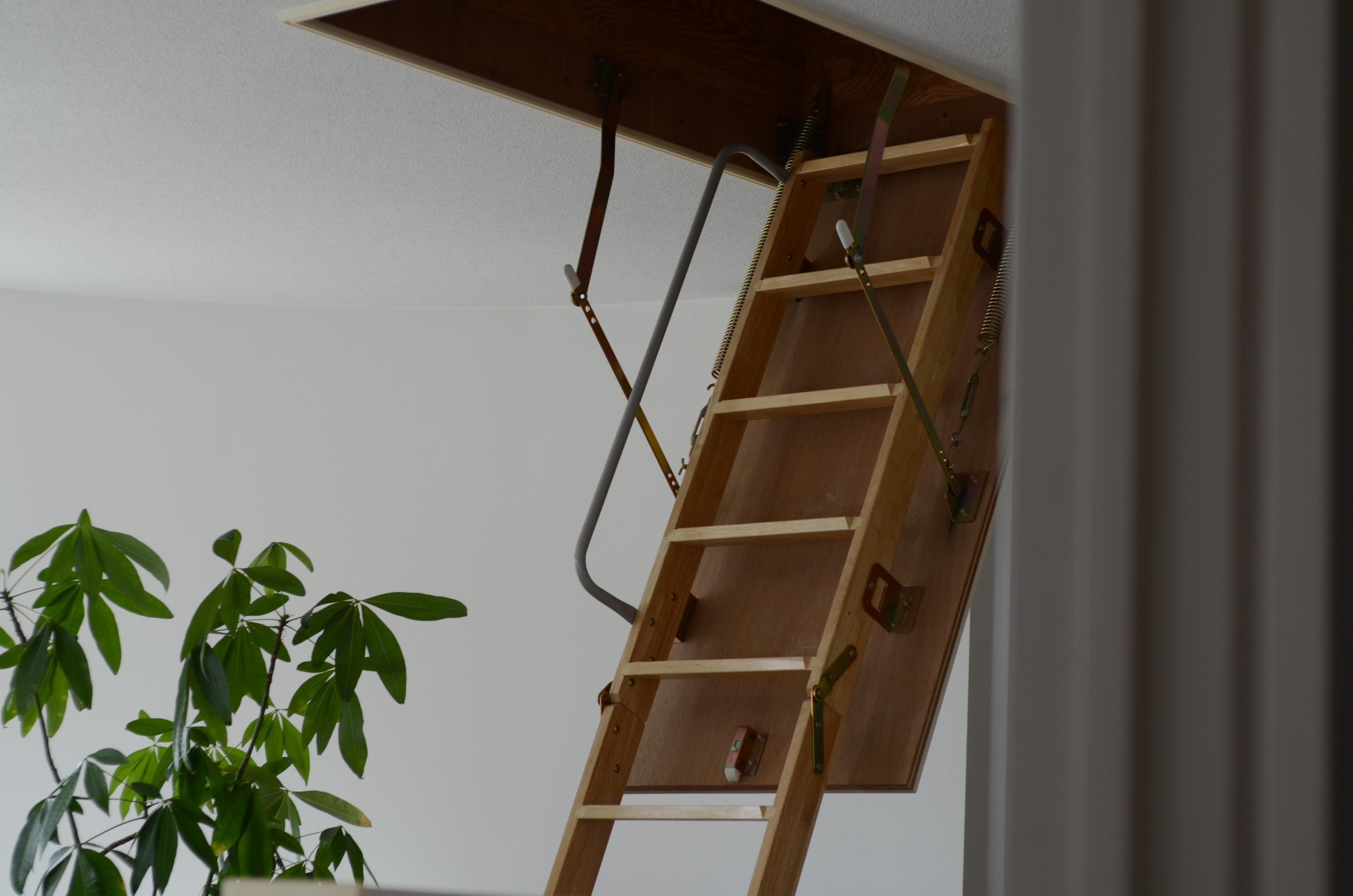 Ladder | Source: Shutterstock