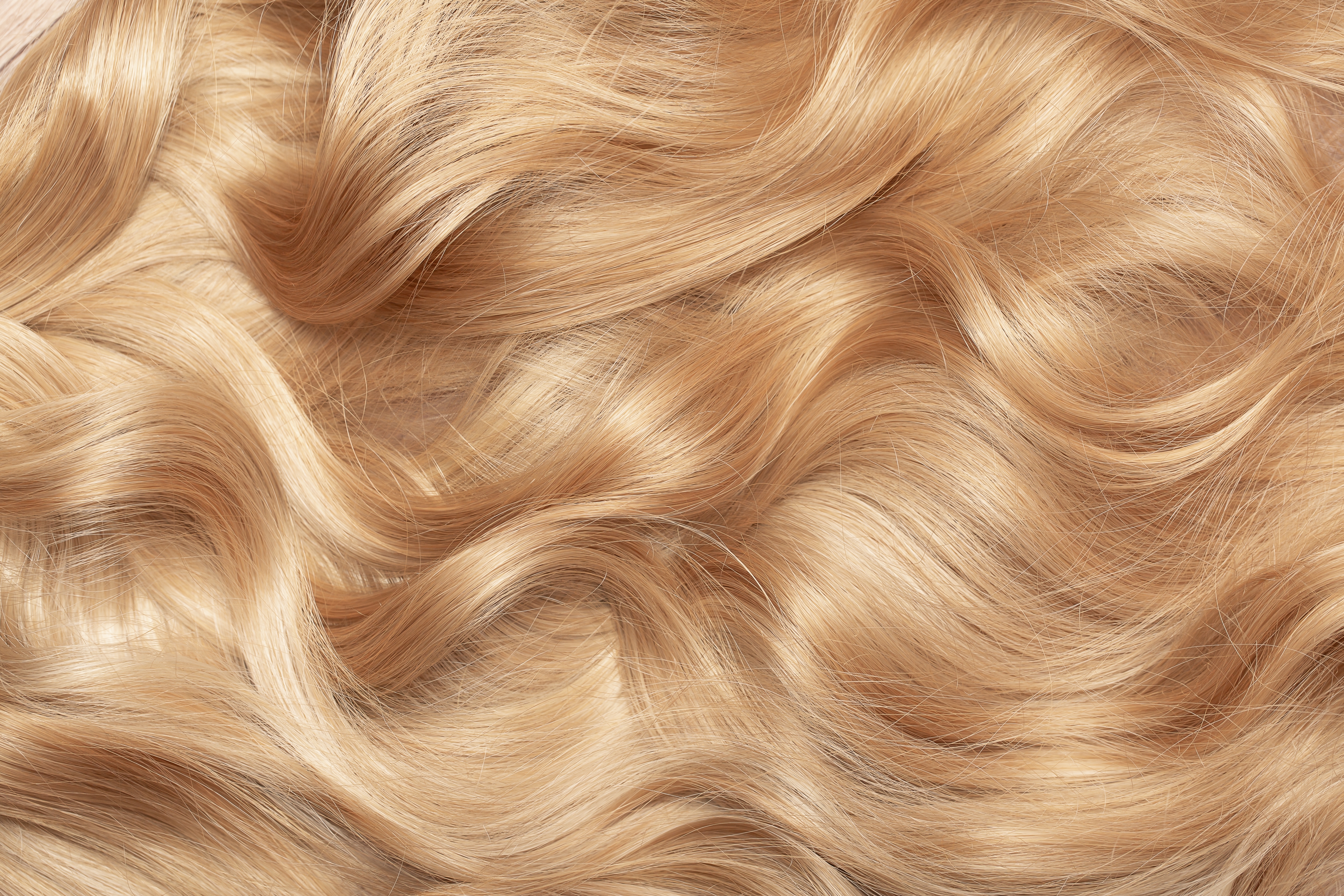 Locs of blonde hair | Source: Shutterstock