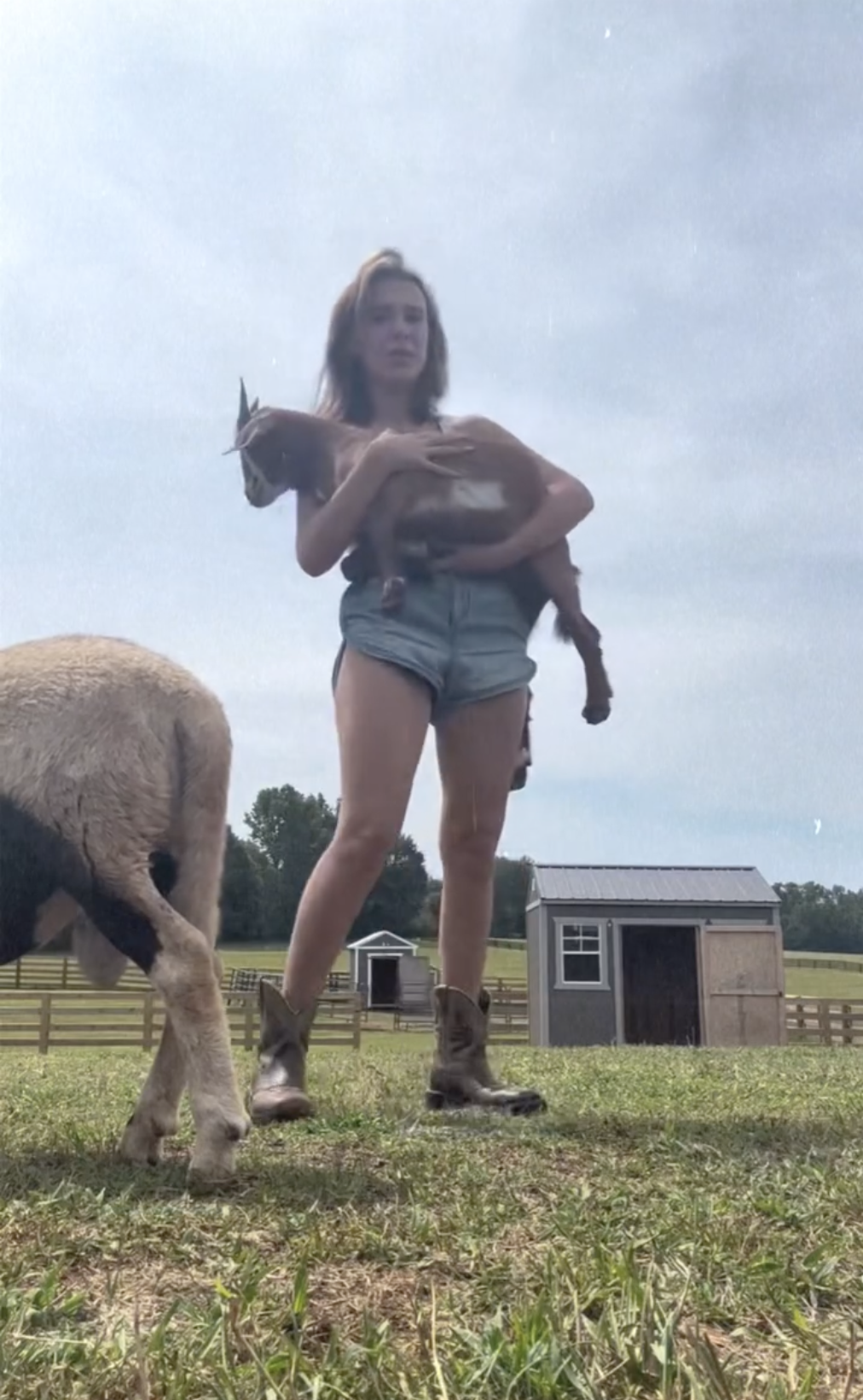 Millie Bobby Brown Bongiovi with her farm animals from a post dated October 19, 2023. | Source: Instagram/milliebobbybrown