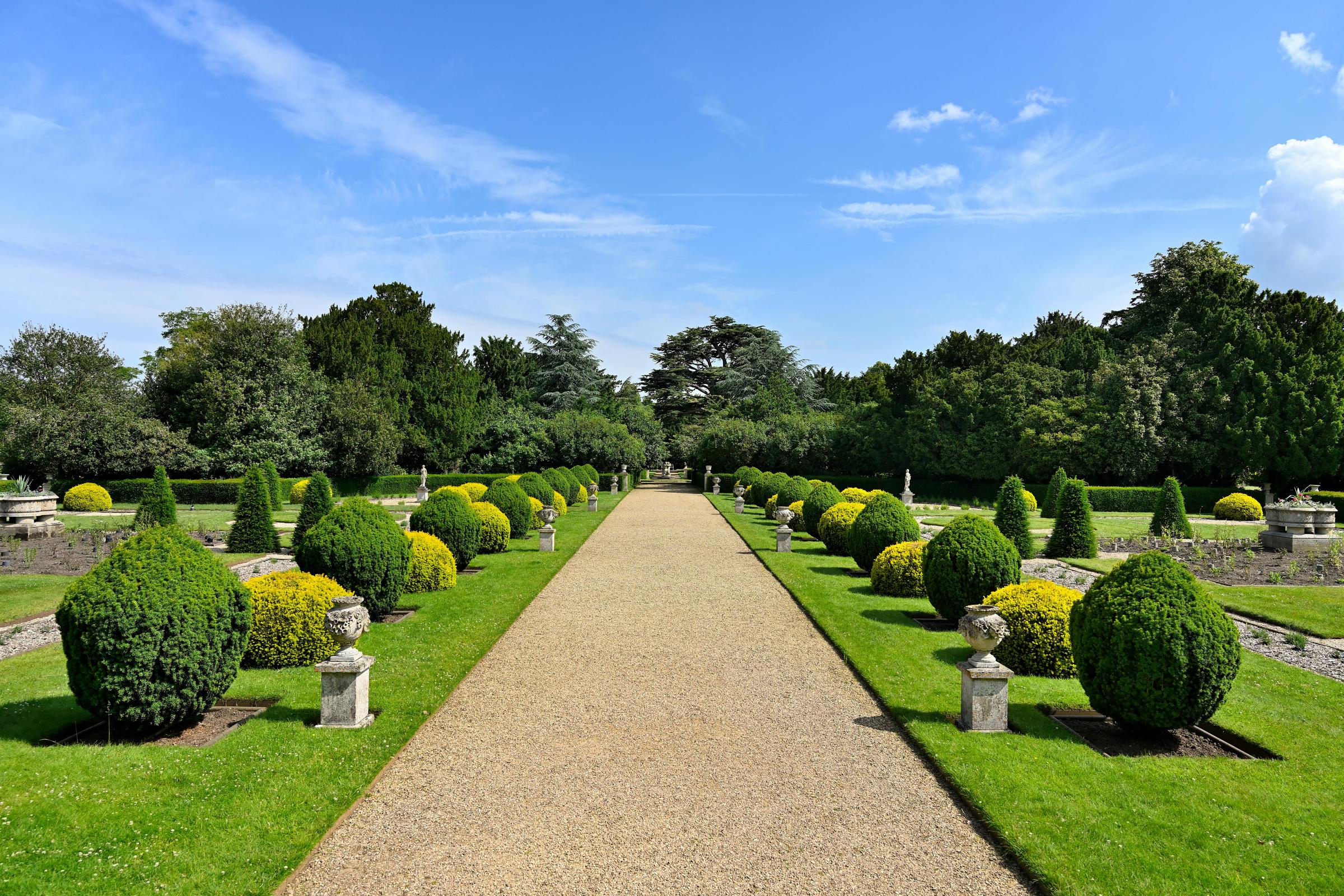 A garden with trimmed hedges | Source: Pexels