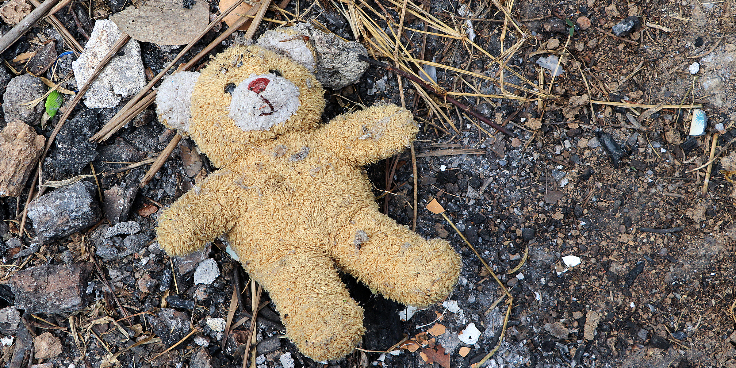 A teddy bear lying on the ground | Source: Getty Images