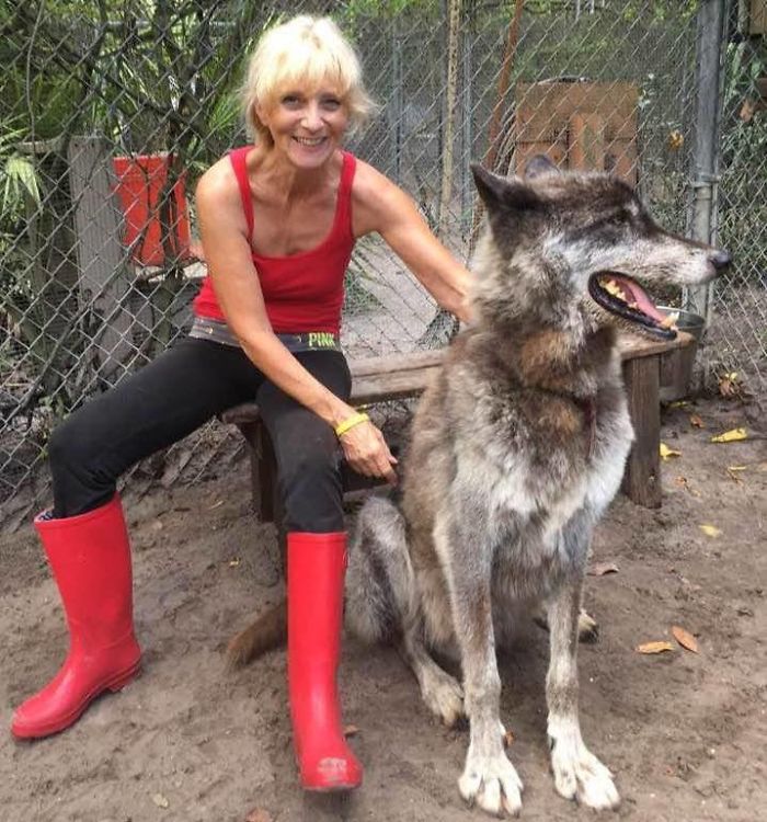 Une femme en rouge avec Yuki / Source : Shy Wolf Sanctuary