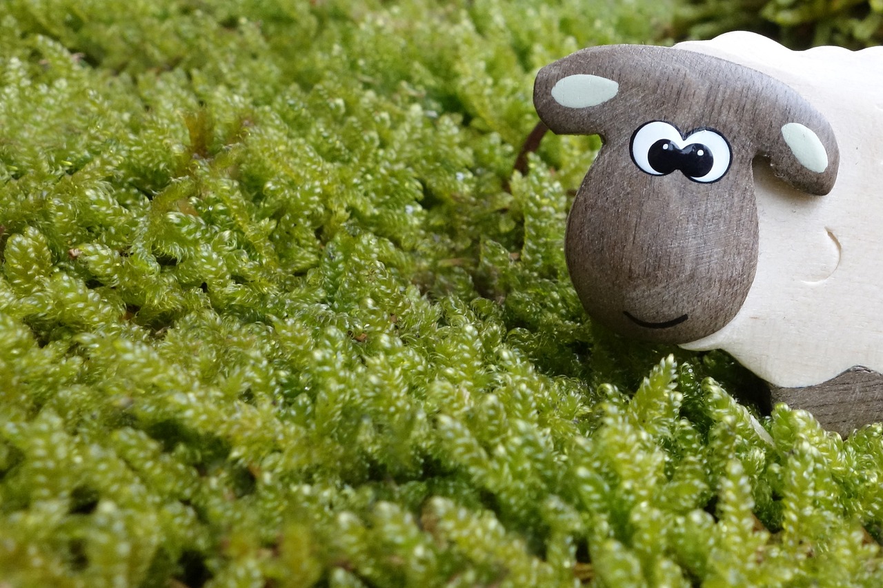 Toy plastic sheep | Source: Pixabay