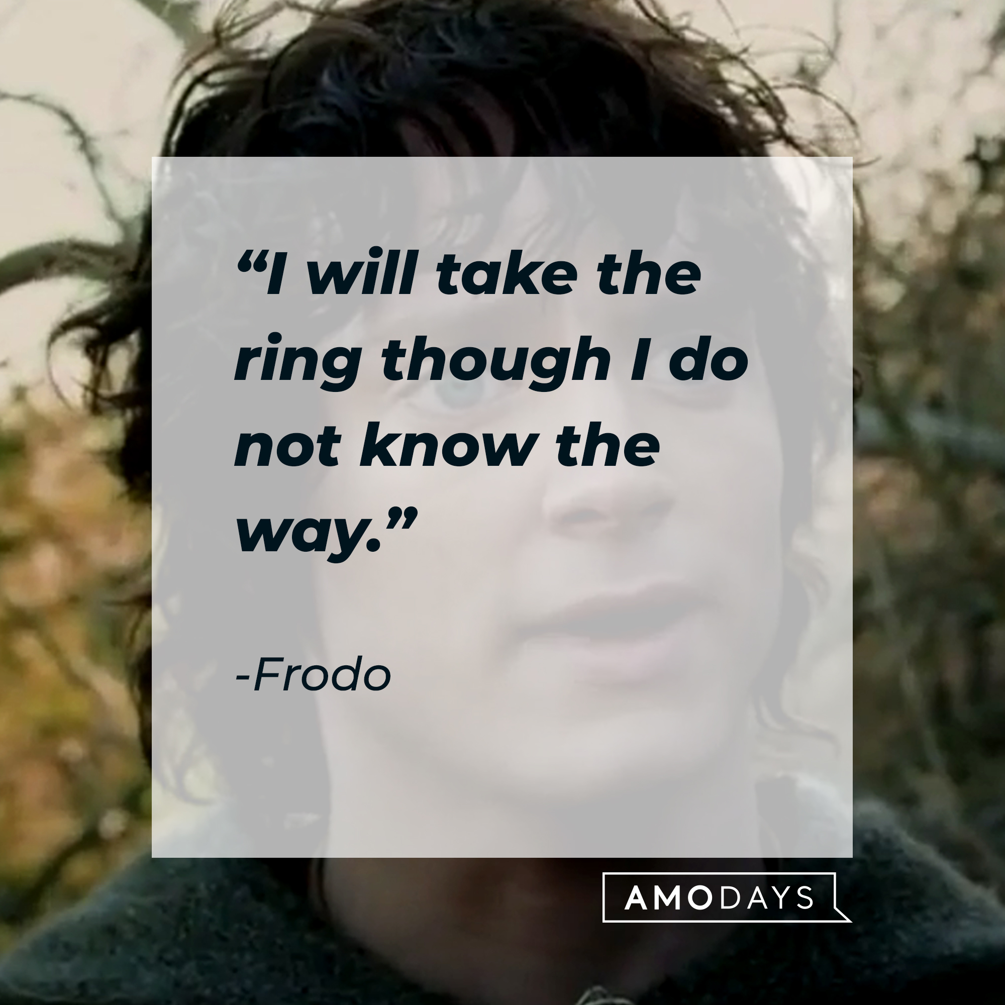 A photo of Frodo Baggins with the quote, "I will take the ring though I do not know the way." | Source: Facebook/lordoftheringstrilogy