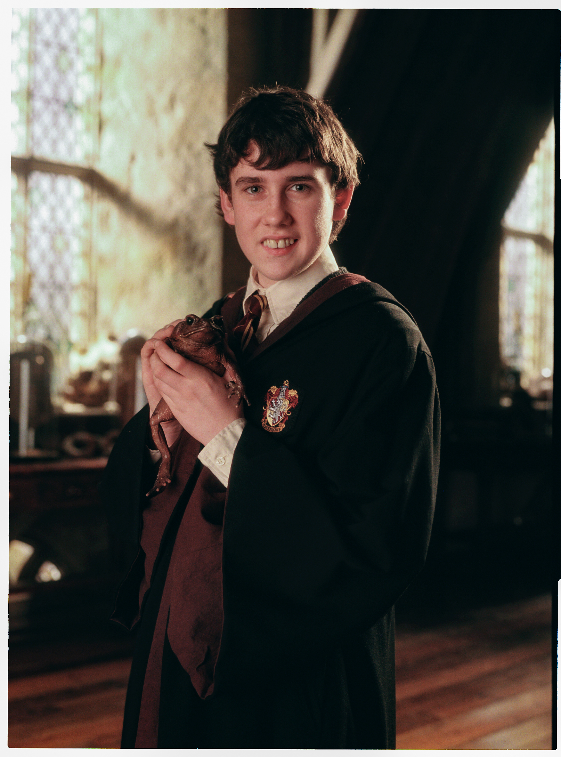 In 2004, Lewis appeared wide-eyed and gap-toothed as Neville Longbottom in the early days of the "Harry Potter" franchise. Clad in full Gryffindor robes and clutching his pet toad Trevor, the young actor was still finding his footing in Hollywood while playing the shy, awkward classmate to Harry and friends.