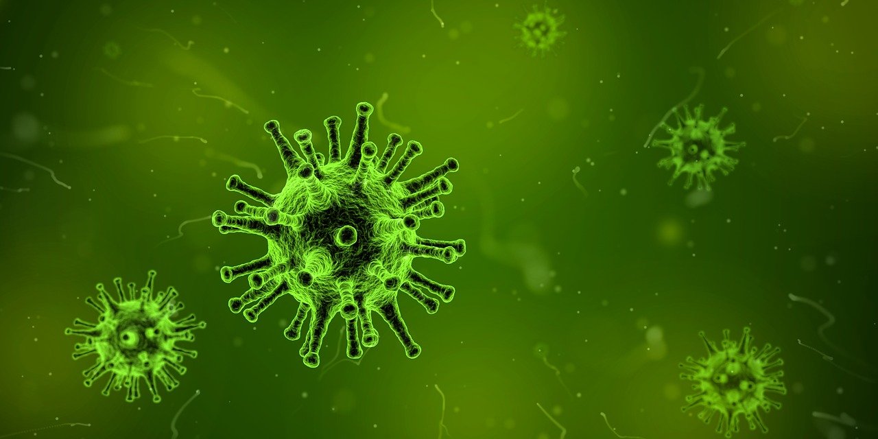 Un virus observé au microscope. | Photo : Pixabay Un virus observé au microscope. | Photo : Pixabay