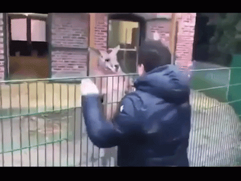 Source: YouTube