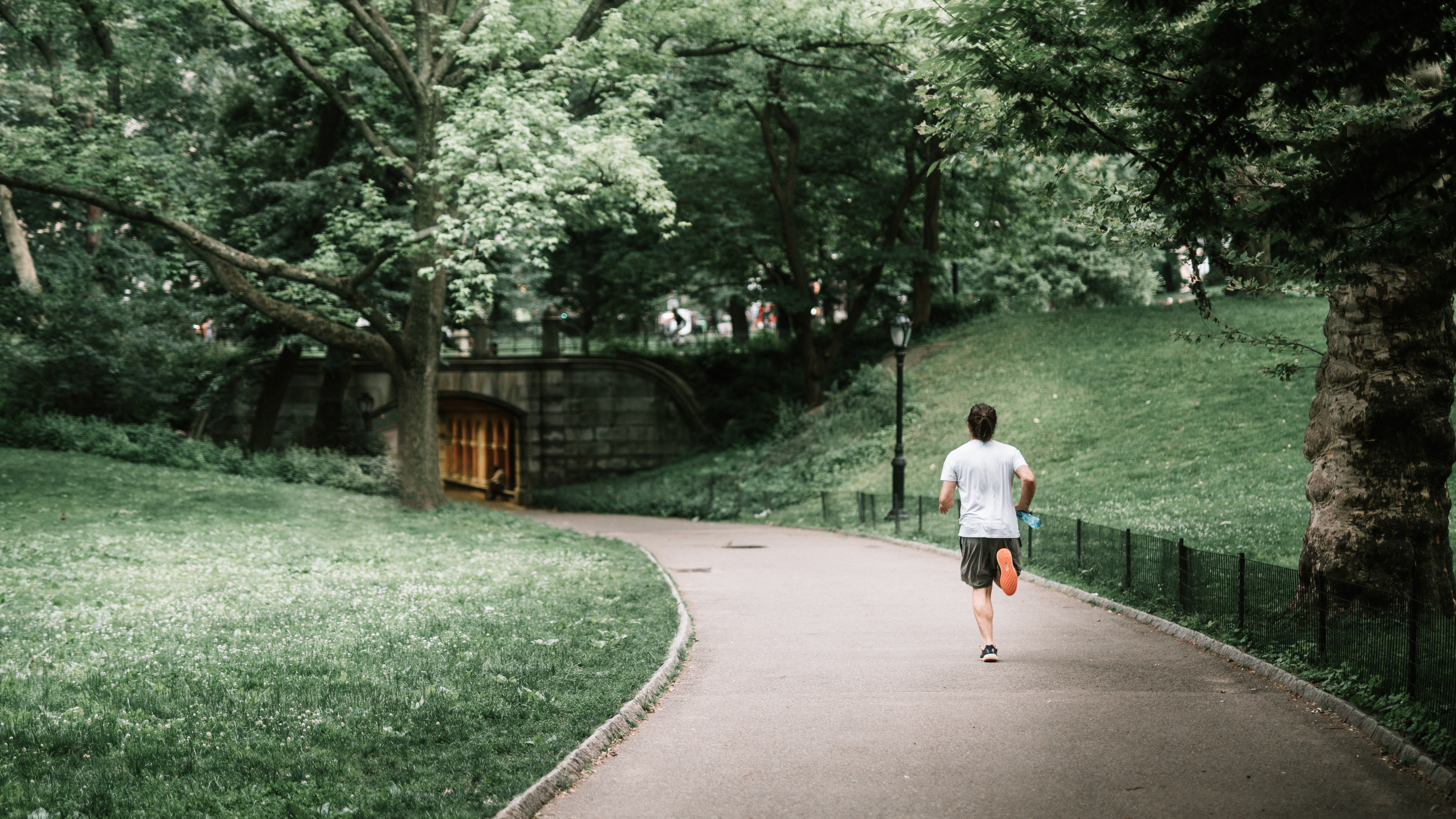 Bruce would notice the same old woman sitting in the park while he jogged everyday. | Source: Pexels