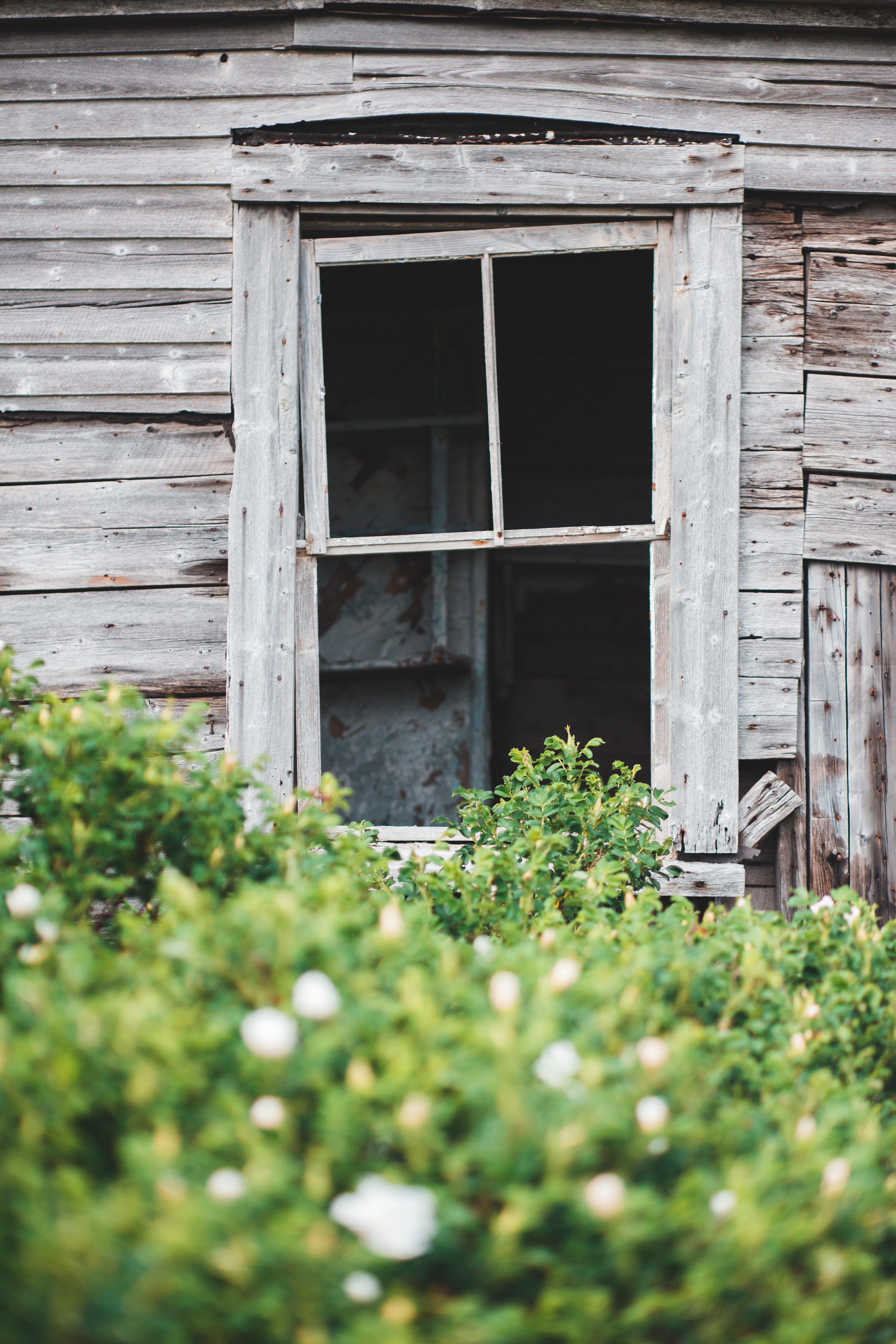 Sheila's house was in need of repairs. | Source: Pexels