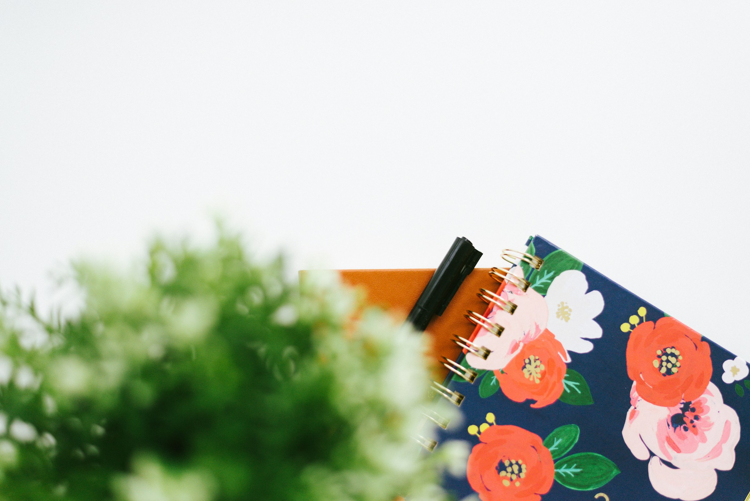 A diary with a floral cover | Source: Unsplash