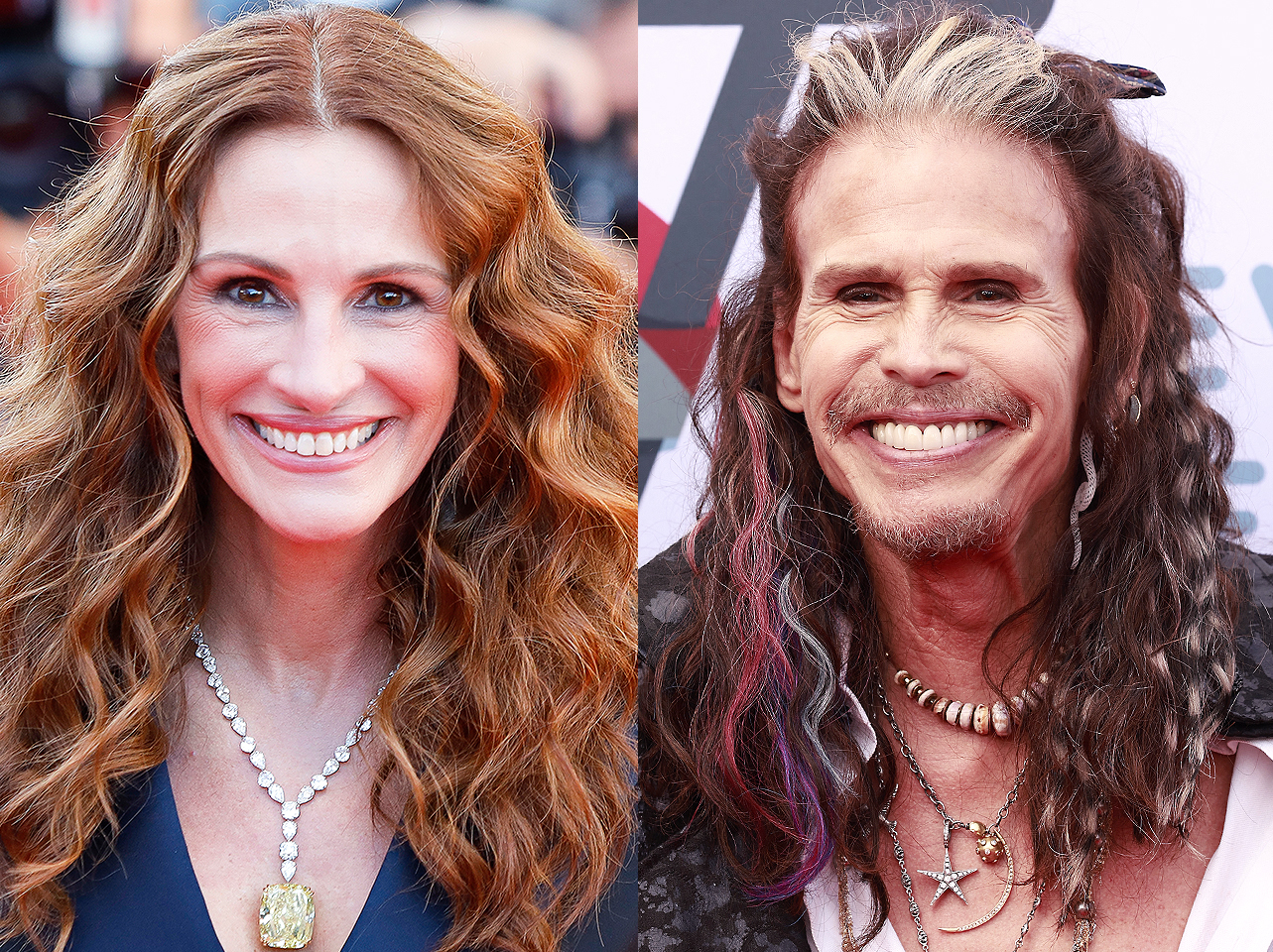Julia Roberts and Steven Tyler | Source: Getty Images