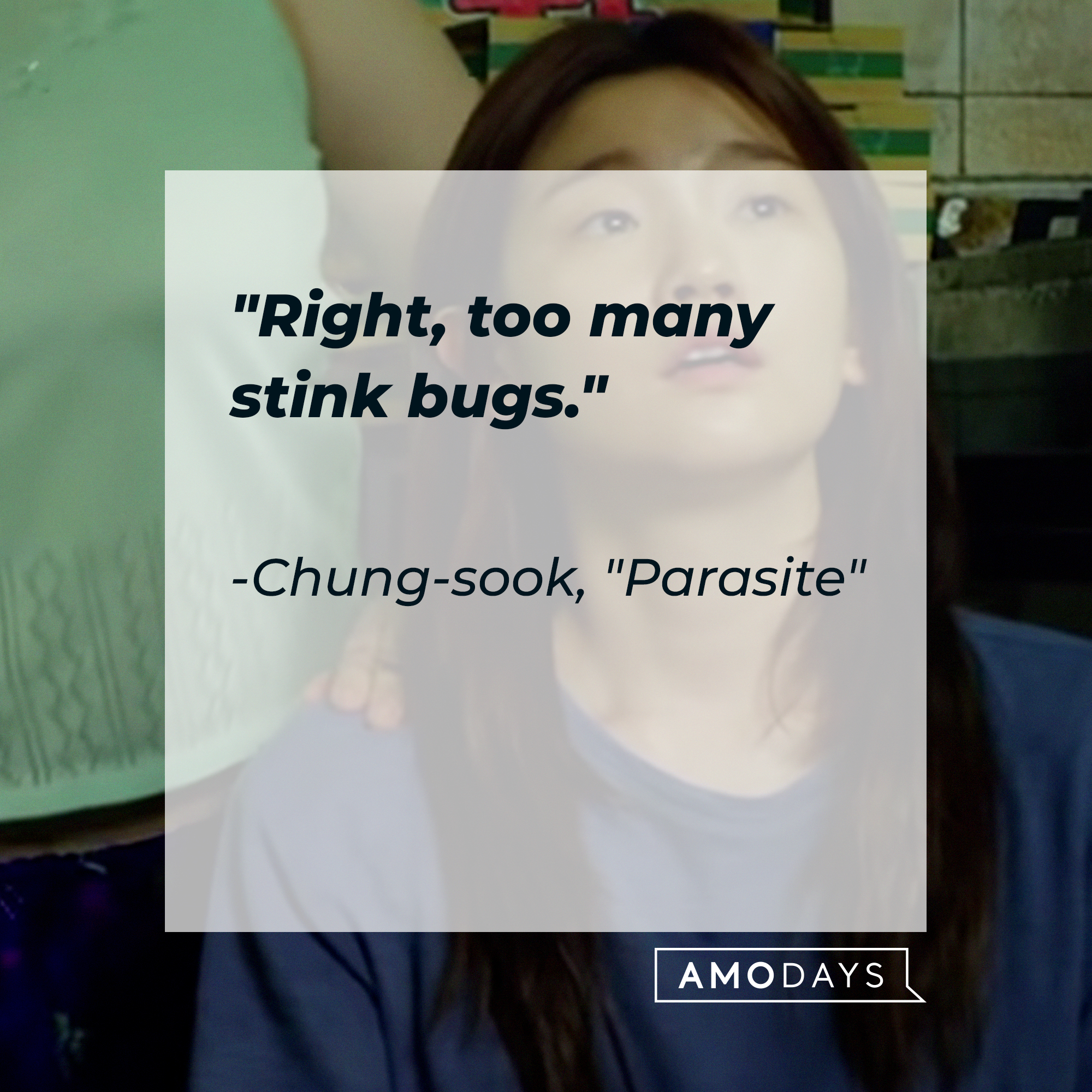 Ki-jung with Chung-sook's quote: "Right, too many stink bugs." | Source: Facebook.com/ParasiteMovie