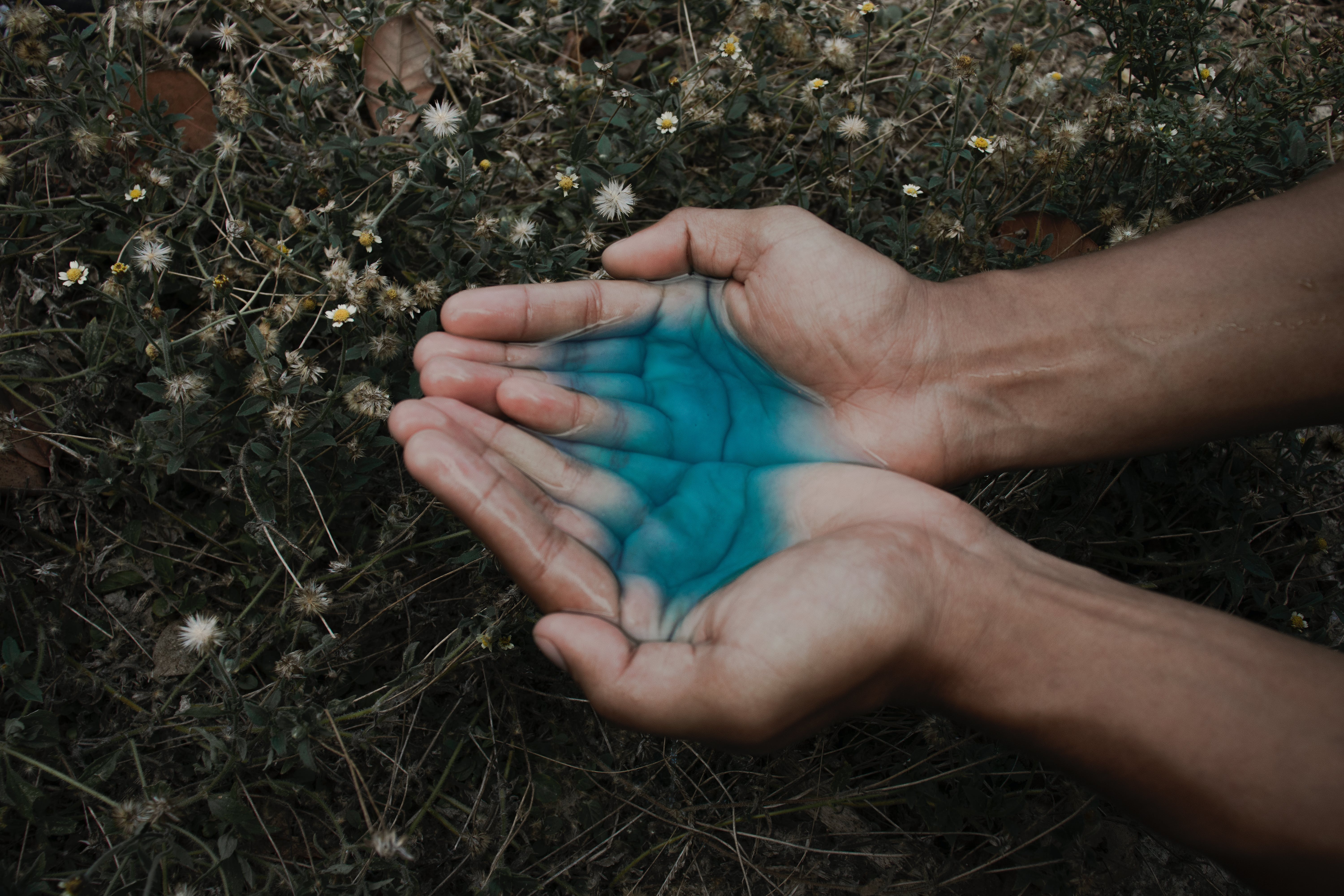 A person holding blue liquid in his hands. | Source: Pexels