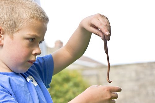 A six-year-old boy playing with a worm. | Source: Shutterstock.