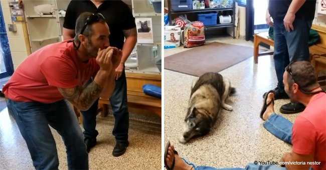 Missing dog has an emotional reaction when reunited with owner after two months